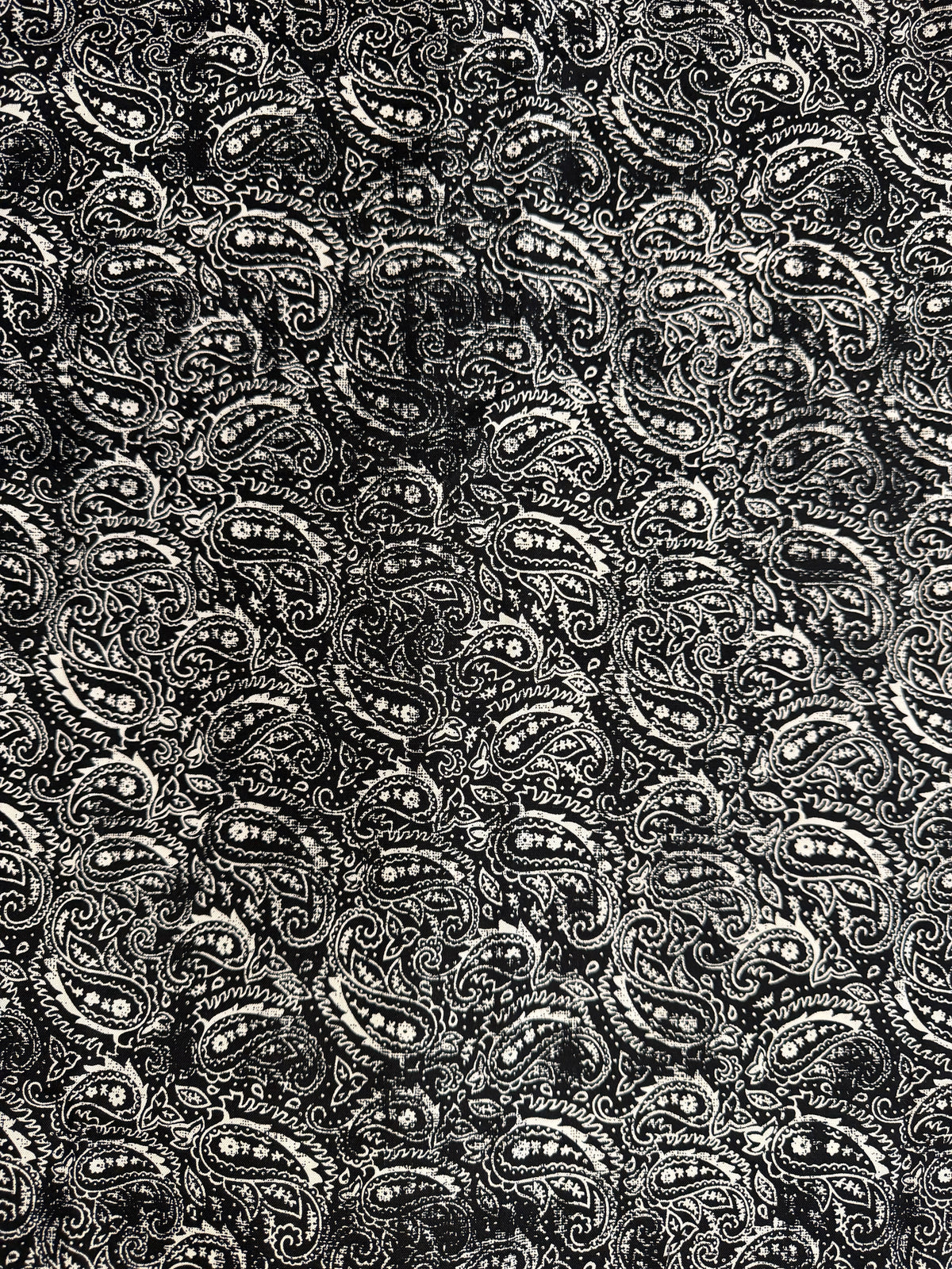 Raven Spiral Tie