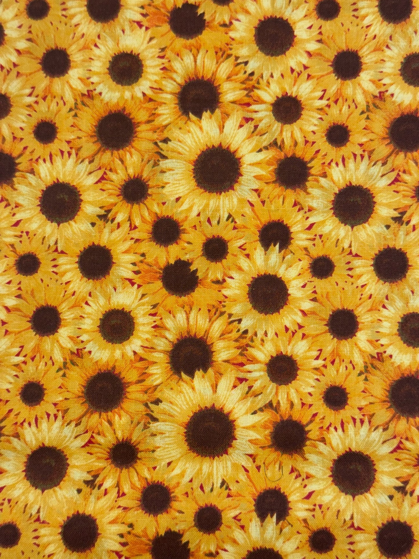 Sunflower Yellow Spiral Tie